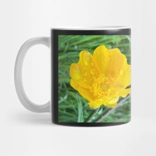 Truthful Yellow ButterCup in the Rain Mug